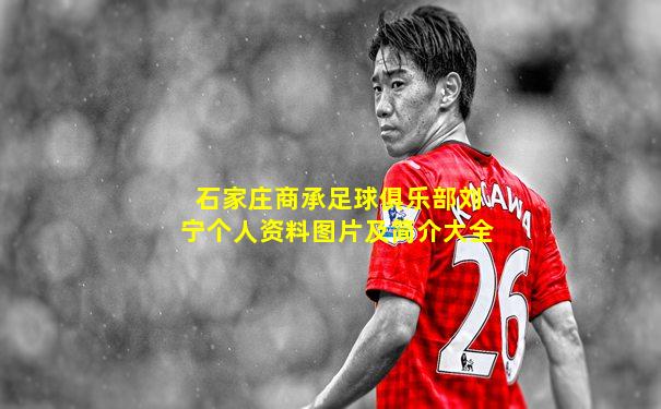 石家庄商承足球俱乐部刘宁个人资料图片及简介大全