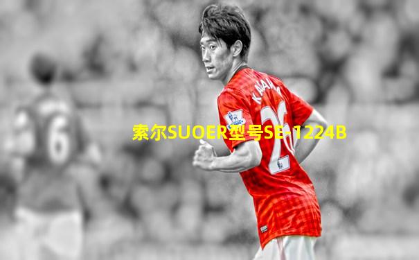 索尔SUOER型号SE-1224B
