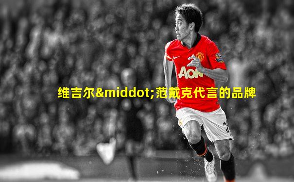 维吉尔·范戴克代言的品牌