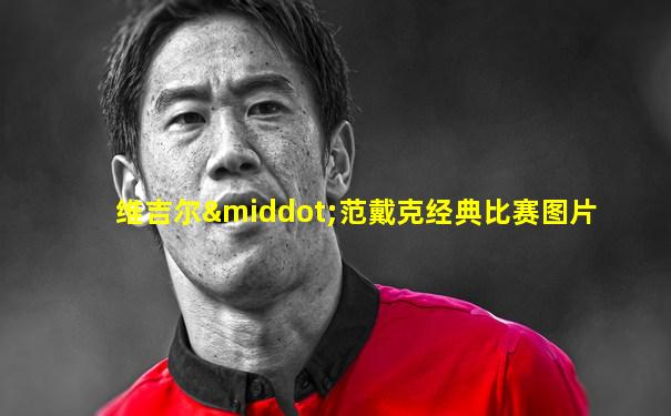 维吉尔·范戴克经典比赛图片