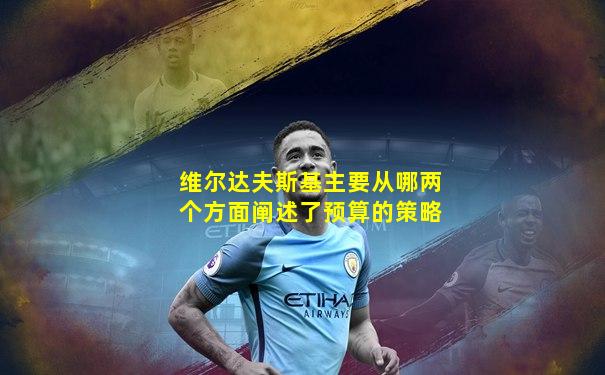 维尔达夫斯基主要从哪两个方面阐述了预算的策略