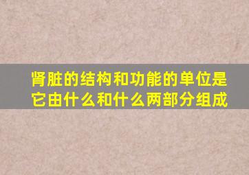肾脏的结构和功能的单位是它由什么和什么两部分组成