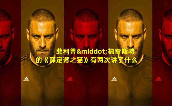 菲利普·福雷斯特的《薛定谔之猫》有两次讲了什么