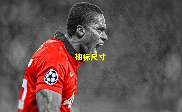 袖标尺寸