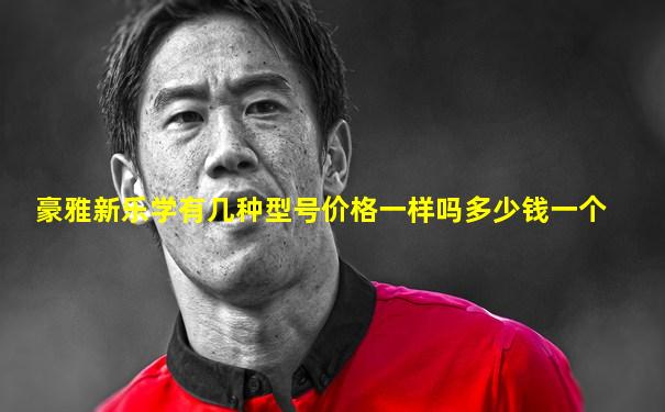 豪雅新乐学有几种型号价格一样吗多少钱一个