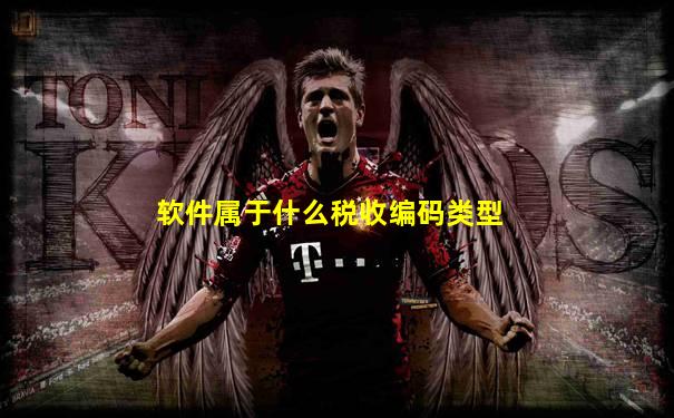 软件属于什么税收编码类型