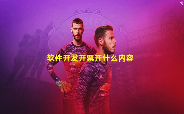 软件开发开票开什么内容
