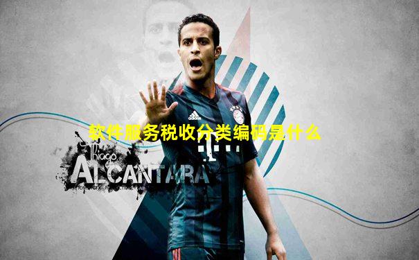 软件服务税收分类编码是什么