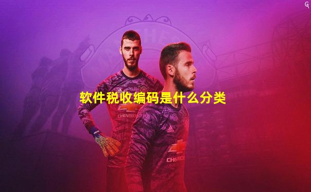 软件税收编码是什么分类