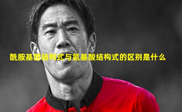 酰胺基团结构式与氨基酸结构式的区别是什么