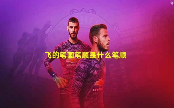 飞的笔画笔顺是什么笔顺