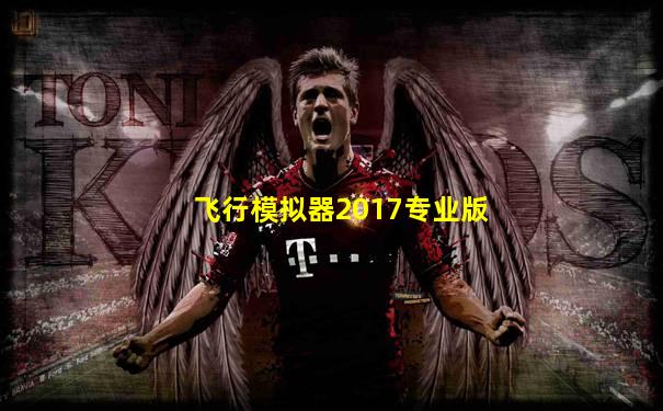飞行模拟器2017专业版