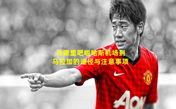 马德里吧啦哈斯机场到马拉加的途径与注意事项