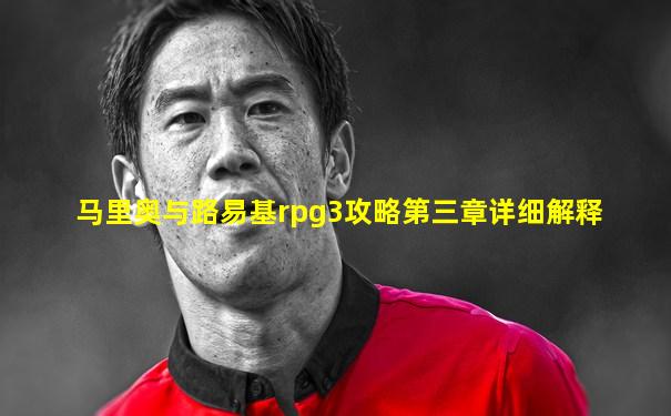 马里奥与路易基rpg3攻略第三章详细解释