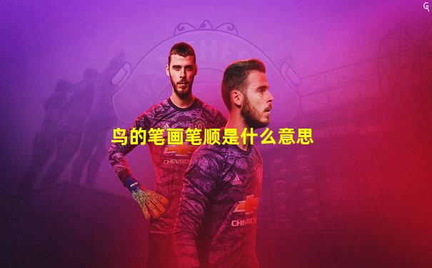 鸟的笔画笔顺是什么意思